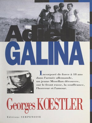 cover image of Adieu Galina
